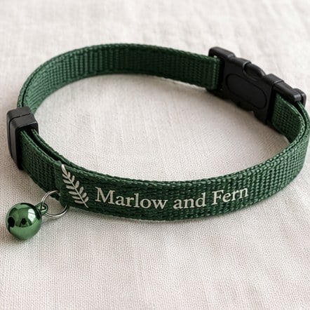 Breakaway Safety Cat Collars