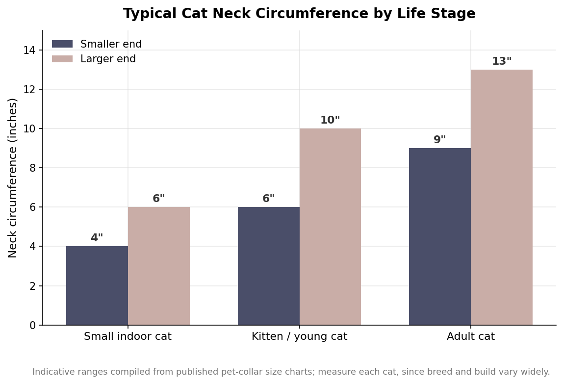 Grouped bar chart of typical cat neck circumference in inches by life stage: small indoor cats 4 to 6, kittens 6 to 10, adult cats 9 to 13