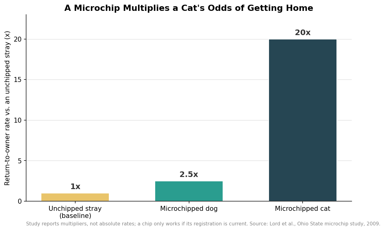 Bar chart showing microchipped cats returned to owners about 20 times more often than unchipped strays, versus 2.5 times for dogs