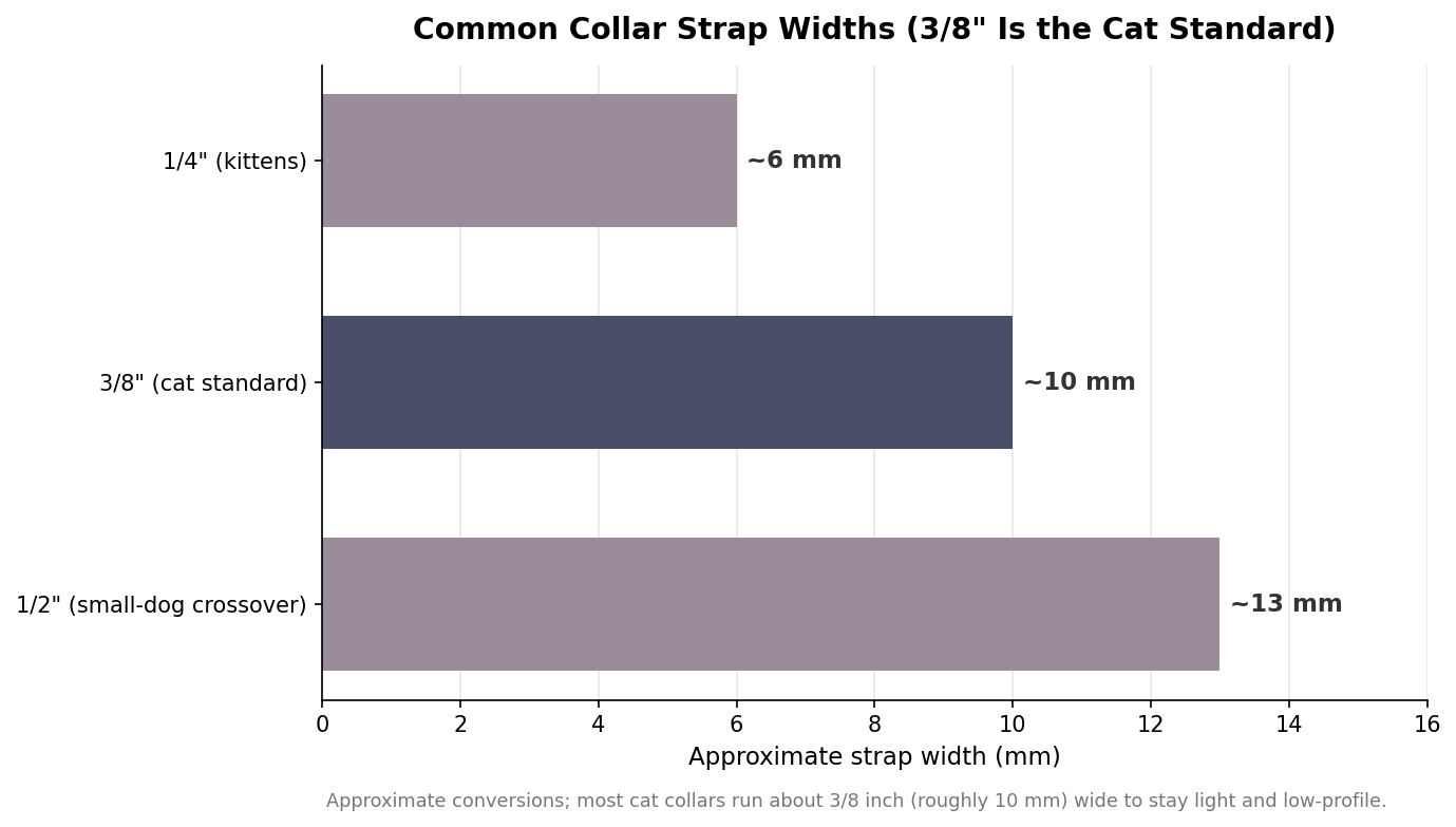 Horizontal bar chart of common collar strap widths in millimeters, highlighting the 3/8 inch, roughly 10 millimeter, cat standard