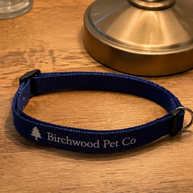 Custom breakaway cat collar - customer photo