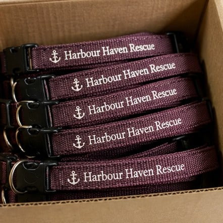 Customized cat collars for animal shelters and rescues