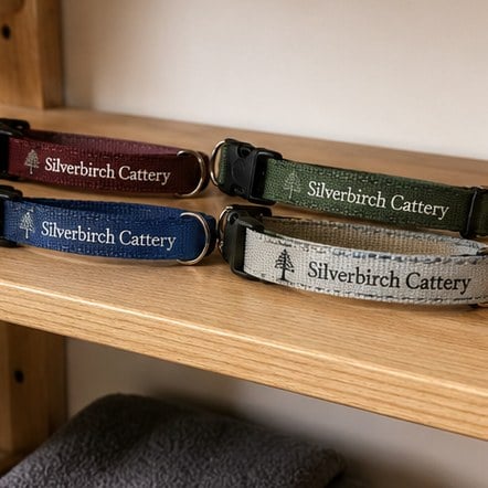 Customized cat collars for breeders and catteries