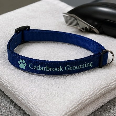 Customized cat collars for groomers and pet salons