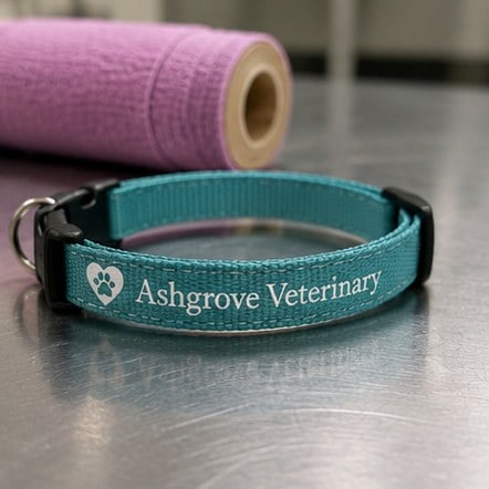 Customized cat collars for veterinary clinics