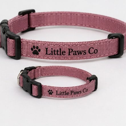 Kitten Size Cat Collars