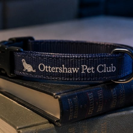Logo printed cat collars bought wholesale