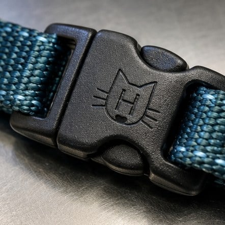 Personalized Buckle Cat Collars