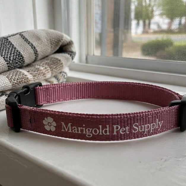 Personalized cat collars - customer photo