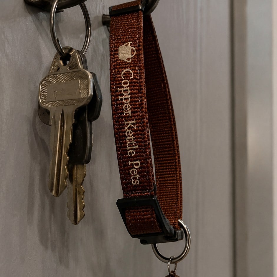Personalized cat collars with a name